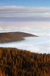 Nebelmeer am Feldberg bei Sonnenaufgang, Schwarzwald, Baden-Württemberg, Deutschland Nebelmeer am Feldberg bei Sonnenaufgang, Schwarzwald, Baden-Württemberg, Deutschland